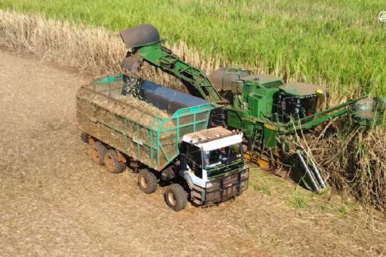 Clealco anuncia novas vagas de emprego para as unidades de Clementina e Queiroz