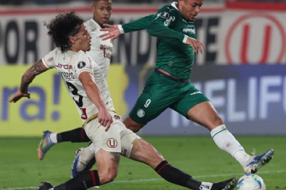 Palmeiras x Universitario: Verdão encaminha classificação às quartas da Libertadores