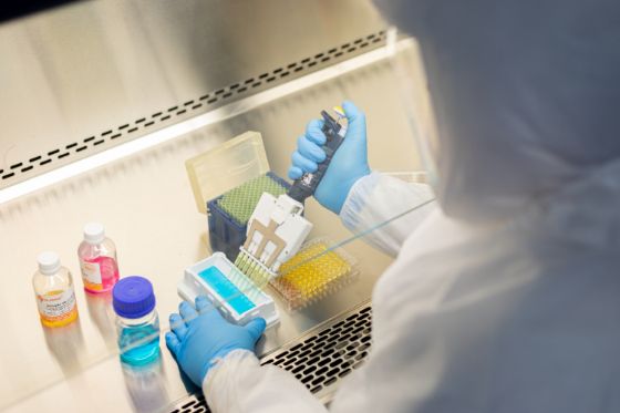 Pesquisadores do Instituto Butantan encontram moléculas com potencial antibiótico em veneno de sapo