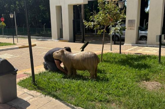 Prefeitura de Araçatuba vai restaurar esculturas de animais da Cidade da Criança