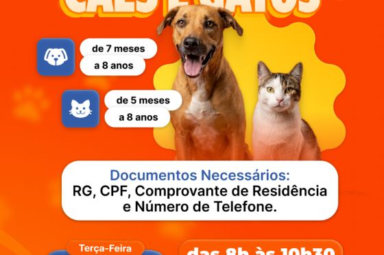 Prefeitura de Pereira Barreto promove ação de castração gratuita para cães e gatos