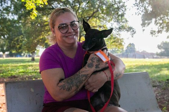 3º Mutirão de Castração e Chipagem em Andradina será exclusivo para gatos em agosto
