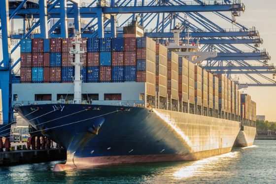 Primeiras cargas de DDGS chegam à China, e Brasil envia farinha de vísceras de aves ao país asiático