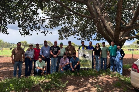 Produtores rurais de Andradina participam de visita técnica para troca de experiências