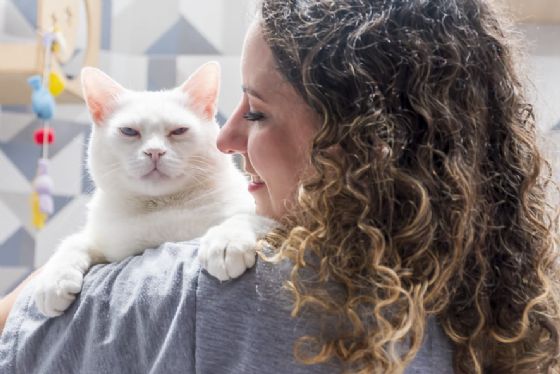 Legislação aprovada na Alesp em 2025 promove avanços na proteção ambiental e animal