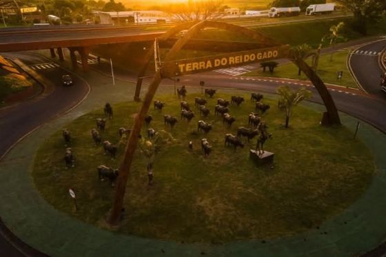 Sábado tem plantão especial para retirada do IPTU 2026