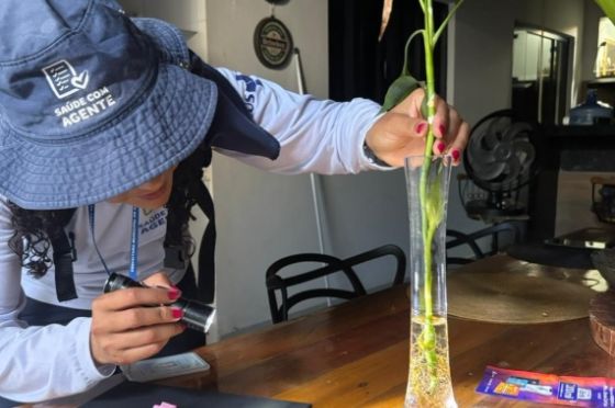 Saúde de Araçatuba reforça importância da colaboração popular no combate à dengue e à chikungunya