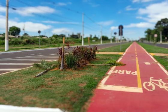 Secretaria de Meio Ambiente de Araçatuba vai replantar 22 árvores após ato de vandalismo em novo residencial
