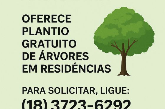 Andradina oferece plantio gratuito de árvores em residências; saiba como solicitar