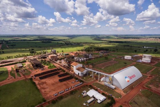 Tereos projeta moagem recorde de 18 milhões de toneladas para a safra 2026/27