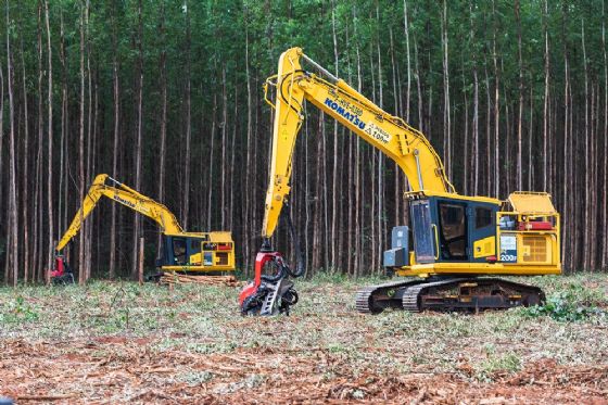Suzano abre inscrições para formação remunerada de operadores de máquinas florestais trainee em Aracruz