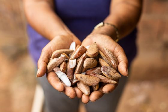 Suzano contribui para retirar mais de 140 mil pessoas da linha da pobreza em cinco anos em suas regiões de atuação
