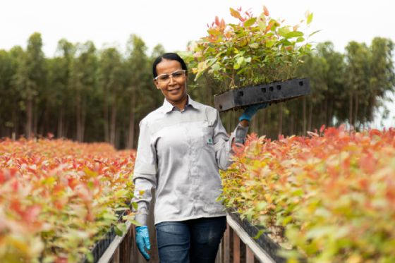 Suzano intensifica ações para ampliar presença feminina no setor florestal