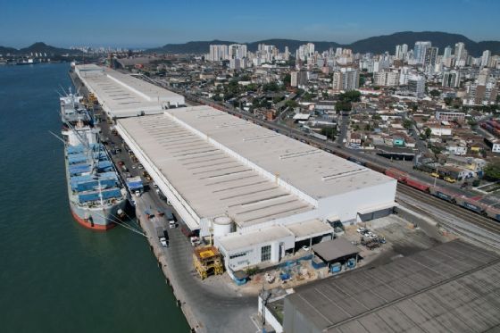 Suzano quebra novo recorde histórico com mais de 5,8 milhões de toneladas de celulose embarcadas no Porto de Santos