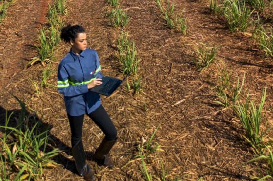 Tereos Abre Mais de 100 Vagas para o Programa de Estágio Jovens Talentos