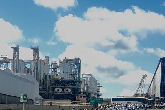 Safra de Cana 2026/27: Usinas da Região Projetam Recordes de Moagem