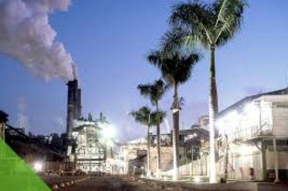 Vagas de emprego na Usina Ipê: Confira os cargos e link de inscrição da Pedra Agroindustrial