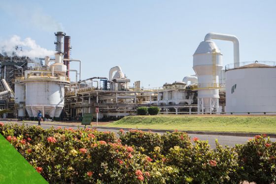 Pedra Agroindustrial abre vagas para Programa de Aprendiz na Usina Ipê em Nova Independência