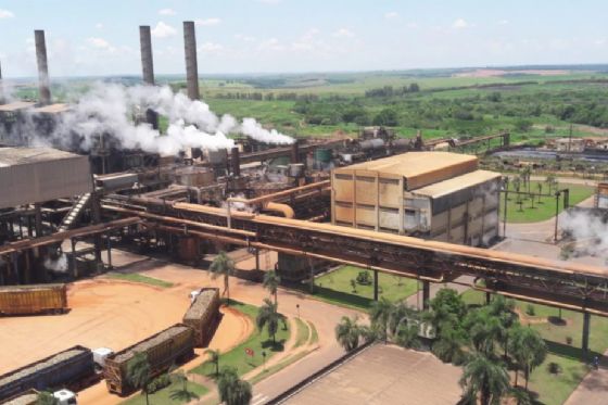 Clealco anuncia abertura de novas vagas de emprego para unidades em Clementina e Queiroz