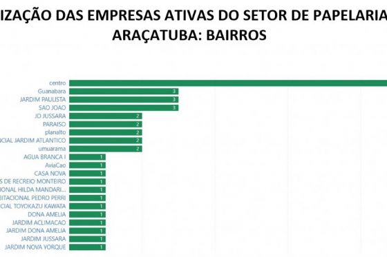 Volta às aulas impulsiona crescimento do setor de papelarias em Araçatuba