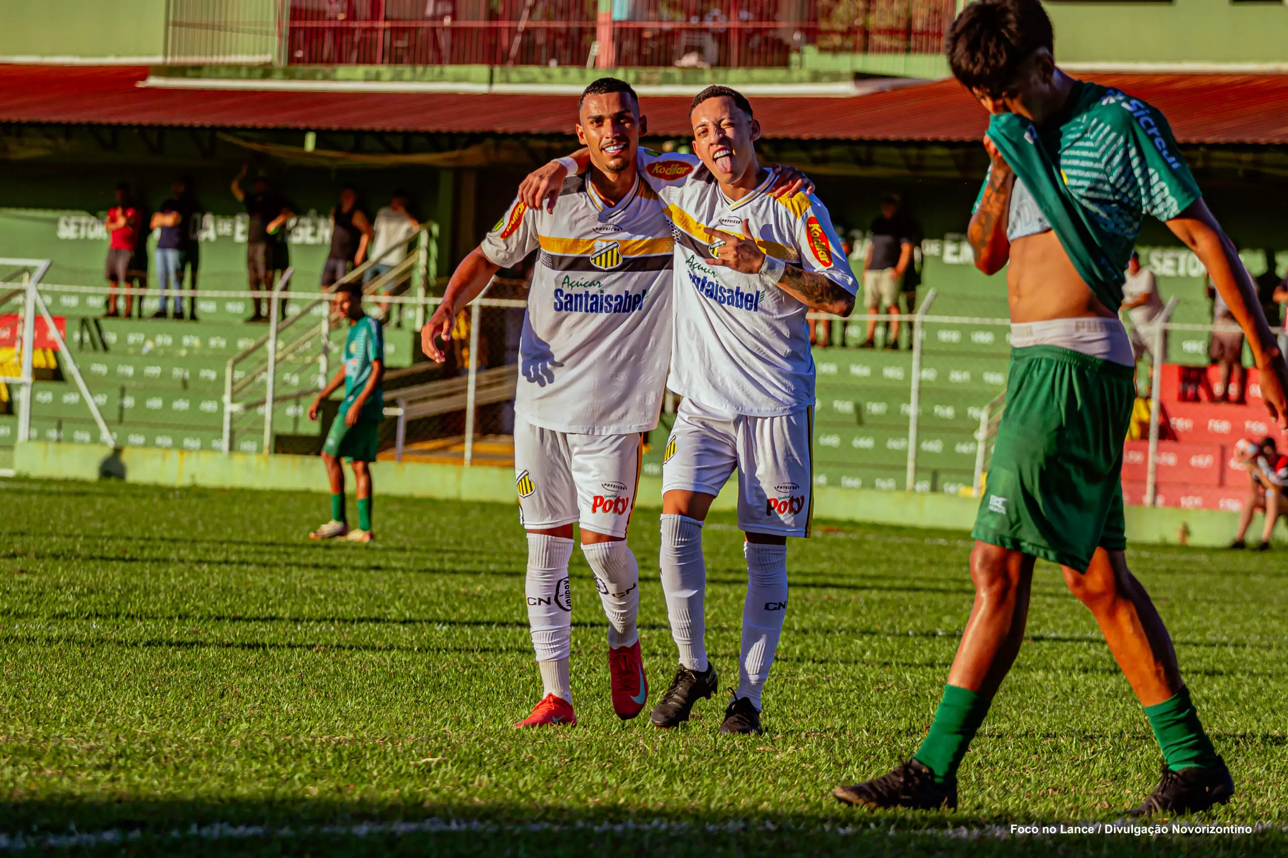 Novorizontino x Coritiba: onde assistir ao vivo pela Série B