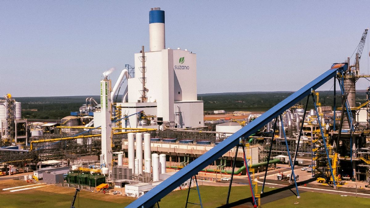 Suzano realiza mutirão de emprego em Bataguassu com contratação imediata neste sábado