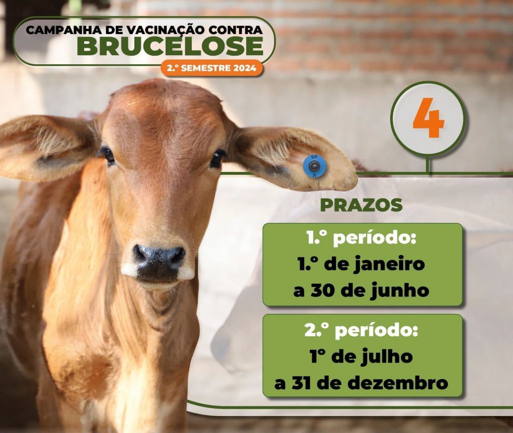 Prazo final para vacinação contra brucelose em Araçatuba termina dia 30 de junho: produtores devem ficar atentos às novas regras - Prefeitura de Araçatuba e Defesa Agropecuária reforçam alerta para vacinação obrigatória contra brucelose - Foto: Divulgação/Prefeitura