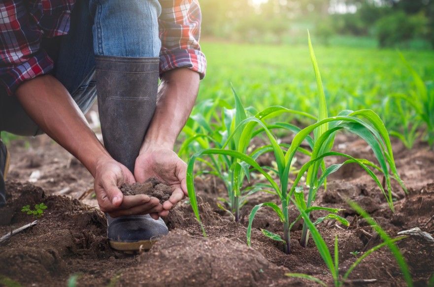 Seminário discute novas oportunidades para a agricultura familiar em Murutinga do Sul - Seminário discute novas oportunidades Seminário discute novas oportunidades para a agricultura familiar em Murutinga do Sul - Seminário discute novas oportunidades