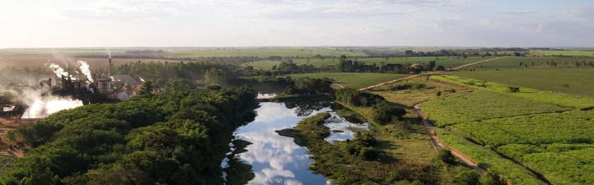 Diana Bioenergia abre processo seletivo para diversas áreas em Avanhandava