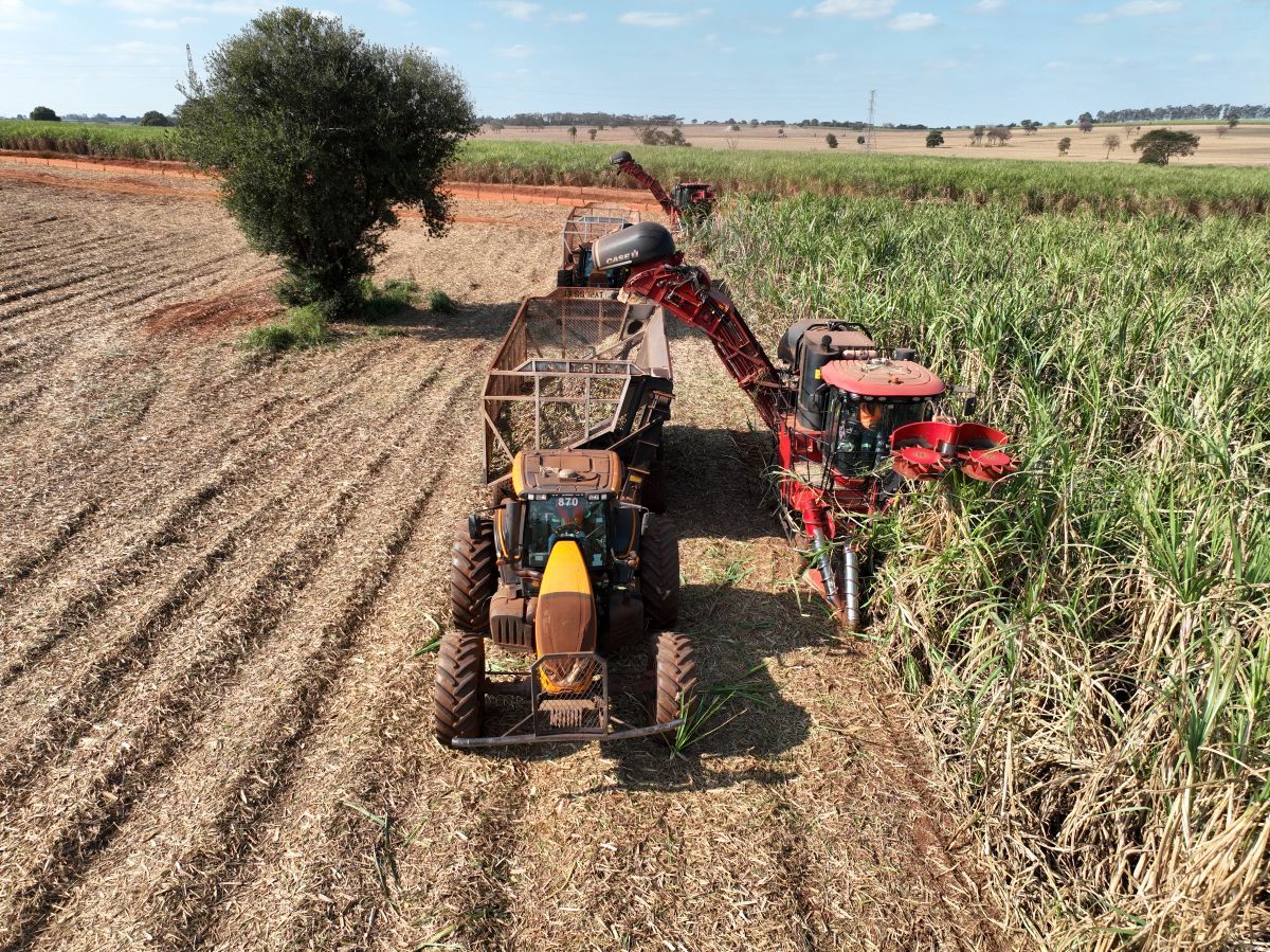 Viralcool Castilho abre vagas de emprego em diferentes áreas - Viralcool Castilho abre vagas na indústria e agricultura com benefícios e inclusão Viralcool Castilho abre vagas de emprego em diferentes áreas - Viralcool Castilho abre vagas na indústria e agricultura com benefícios e inclusão